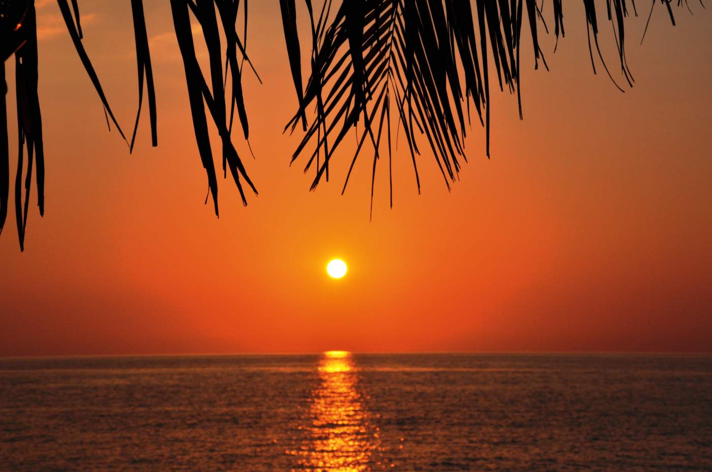 Erlebnis-Reisen Madagaskar, Regenwald, Madagaskar